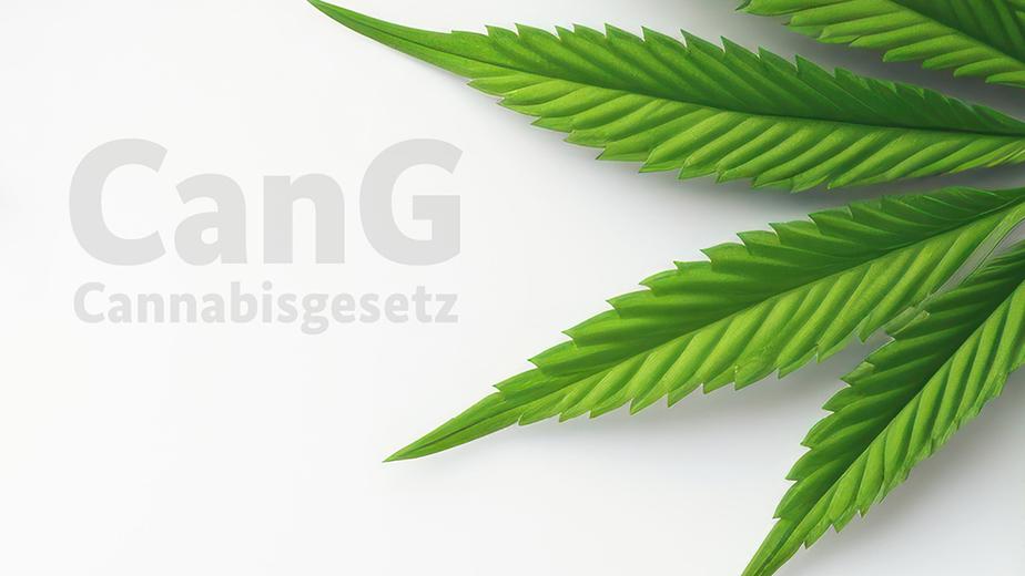 Darstellung eines Hanfblattes mit dem Schriftzug CanG Cannabisgesetz (Quelle: © yuliachupina + stock.adobe.com) Darstellung eines Hanfblattes mit dem Schriftzug CanG Cannabisgesetz